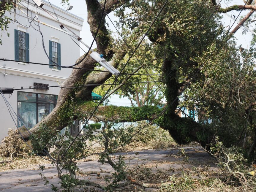 neworleanslouisiana-september22021fallentreeon