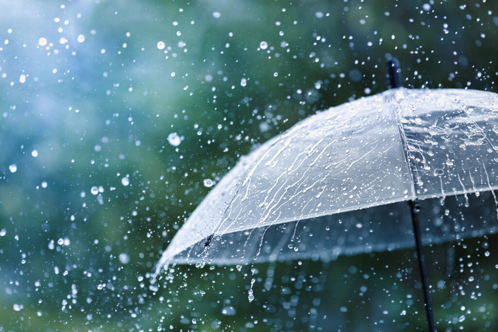 umbrella liability insurance coverage for personal asset protection